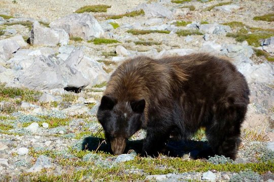 Tour image 9