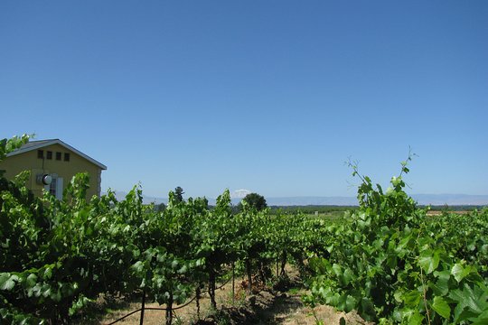Tour image 1