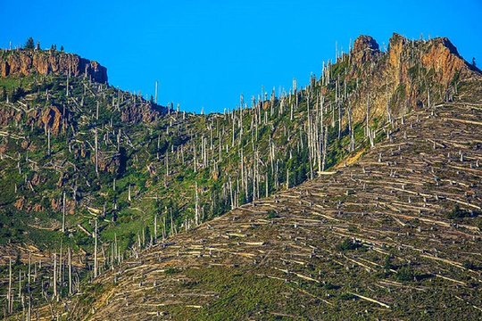 Tour image 6