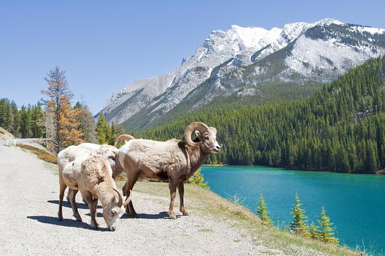 Tour image 5