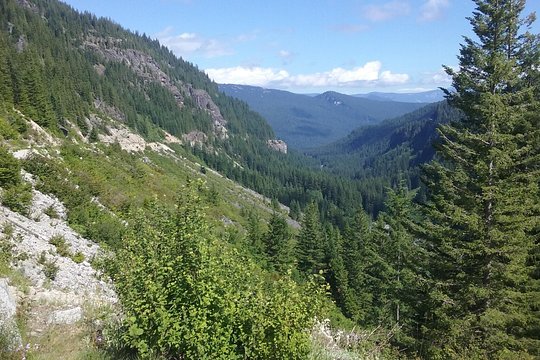 Tour image 6