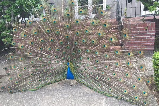 Tour image 3