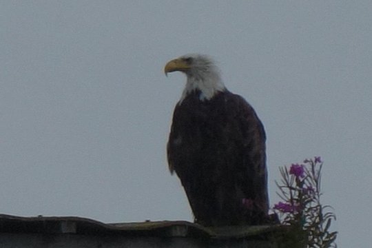 Tour image 5