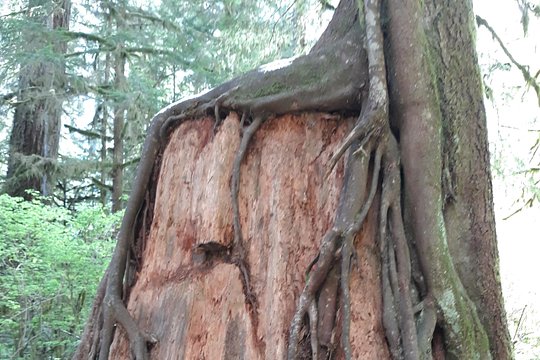 Tour image 4