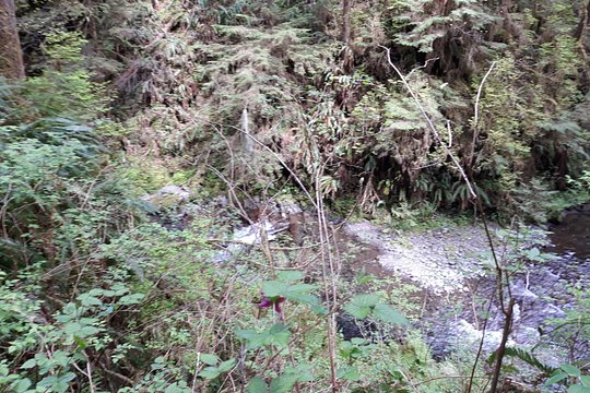 Tour image 5