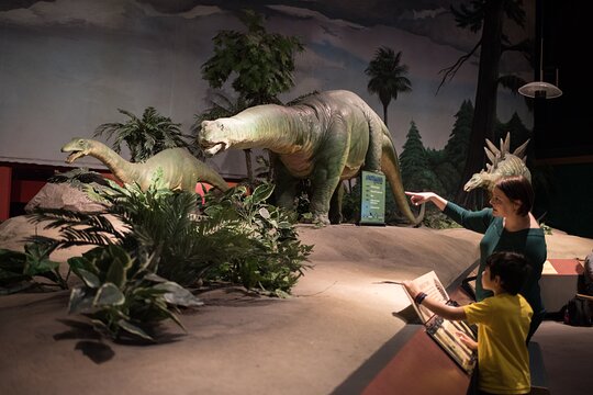 Tour image 5